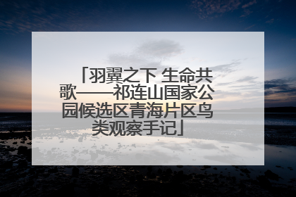 羽翼之下 生命共歌——祁连山国家公园候选区青海片区鸟类观察手记